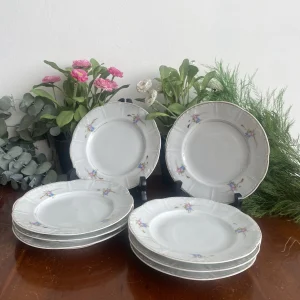 Juego de platos