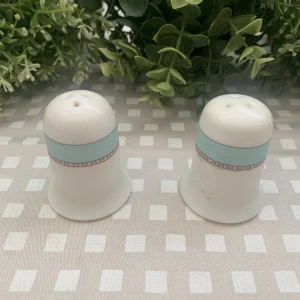Pareja saleros porcelana