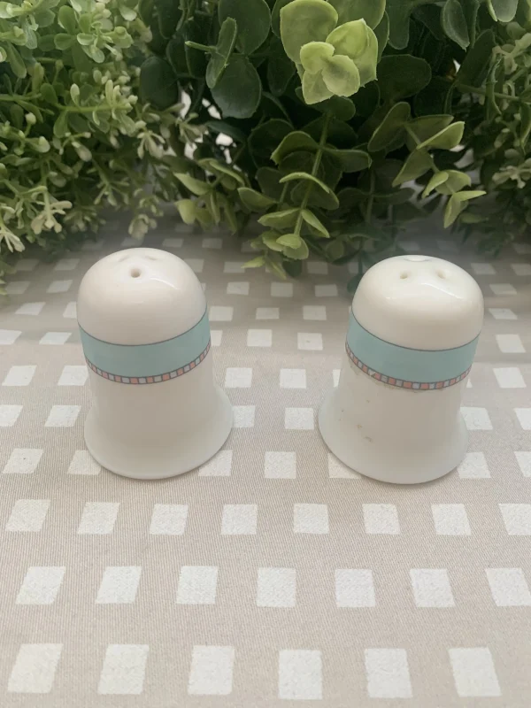 Pareja saleros porcelana