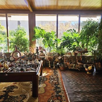 20251120_115602 20251120_115602